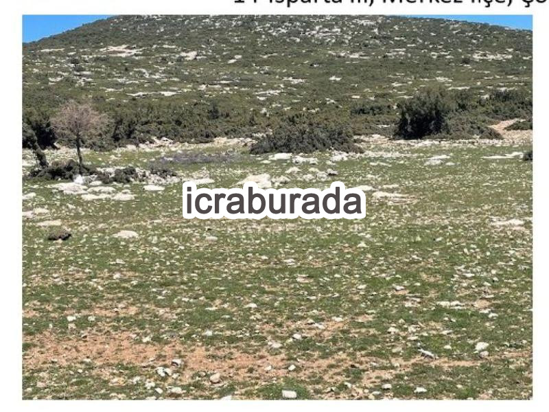 icralık  m2 Tarla Isparta Merkez Çobanisa
