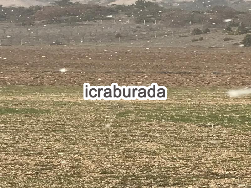 icralık  m2 Tarla Eskişehir Tepebaşı Yürükakçayir