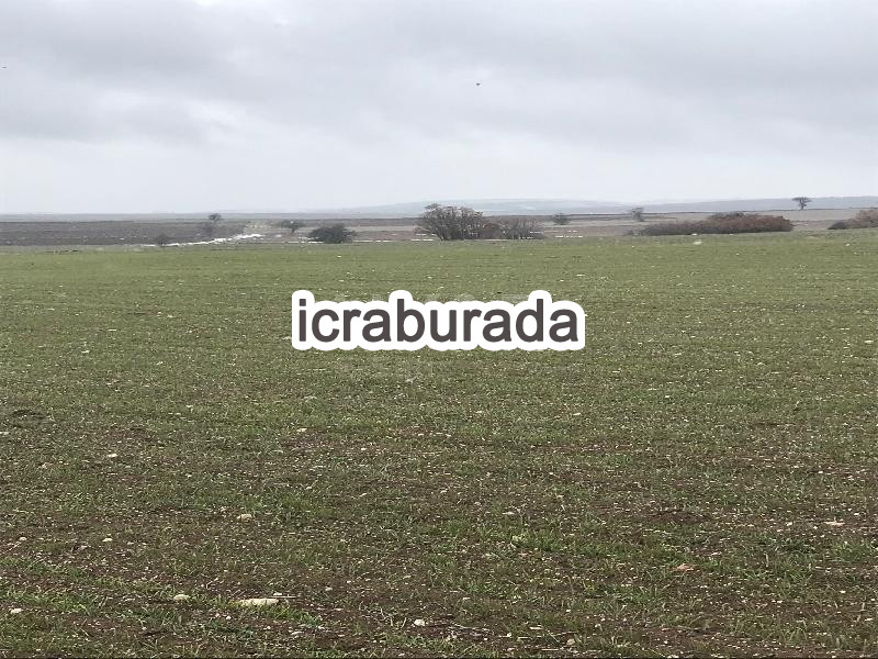 icralık  m2 Tarla Eskişehir Tepebaşı Yürükakçayir