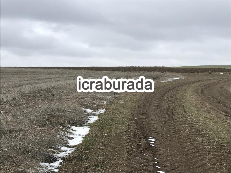 icralık  m2 Tarla Eskişehir Tepebaşı Yeniakçayir
