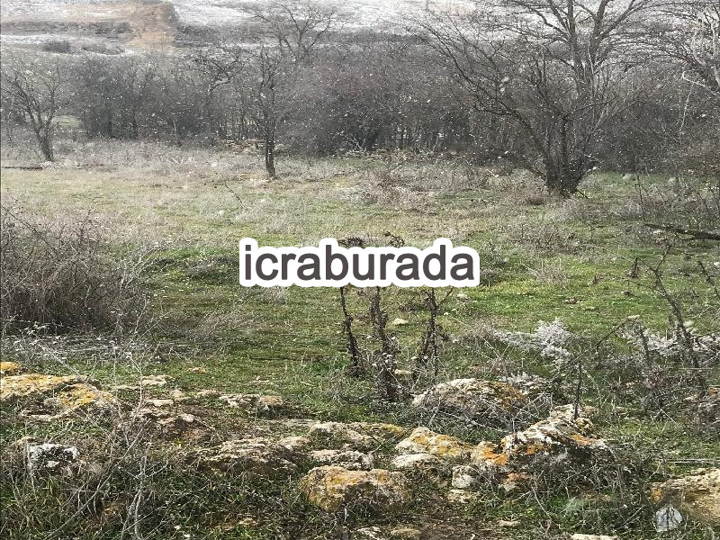 icralık  m2 Diger Eskişehir Tepebaşı Yürükakçayir