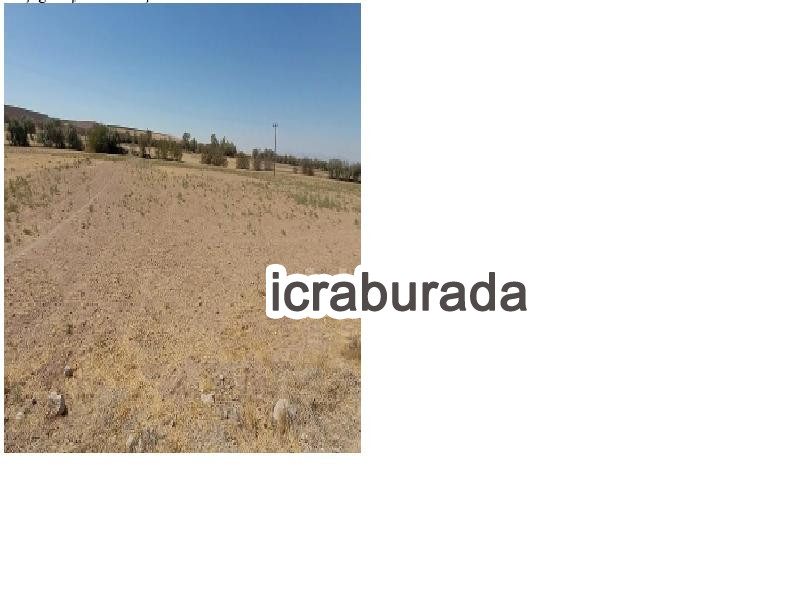icralık  m2 Tarla Niğde Ulukışla Alpagut