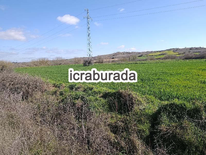 icralık  m2 Tarla Kırklareli Babaeski Karabayir
