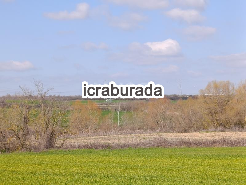 icralık  m2 Tarla Kırklareli Babaeski Nacak