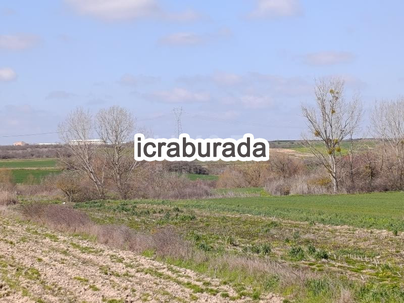 icralık  m2 Tarla Kırklareli Babaeski Nacak