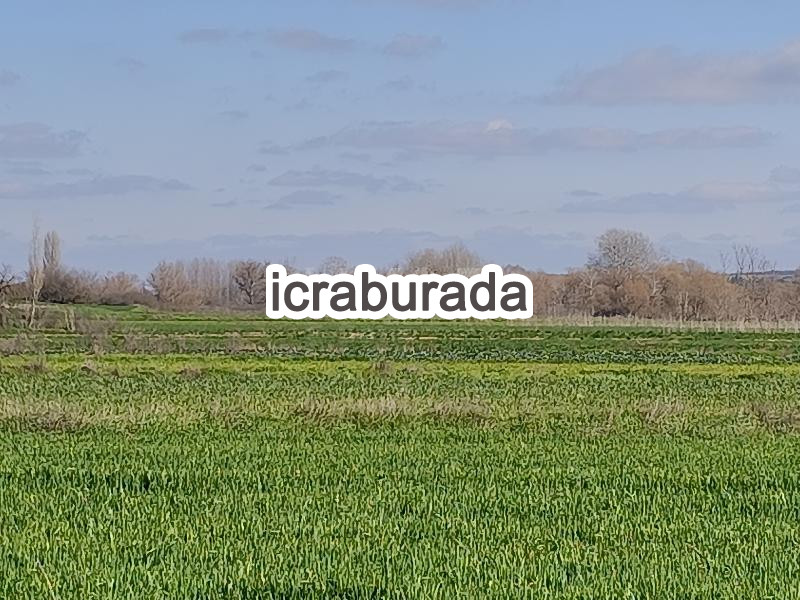 icralık  m2 Tarla Kırklareli Babaeski Karabayir