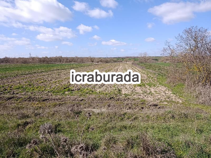 icralık  m2 Tarla Kırklareli Babaeski Karabayir