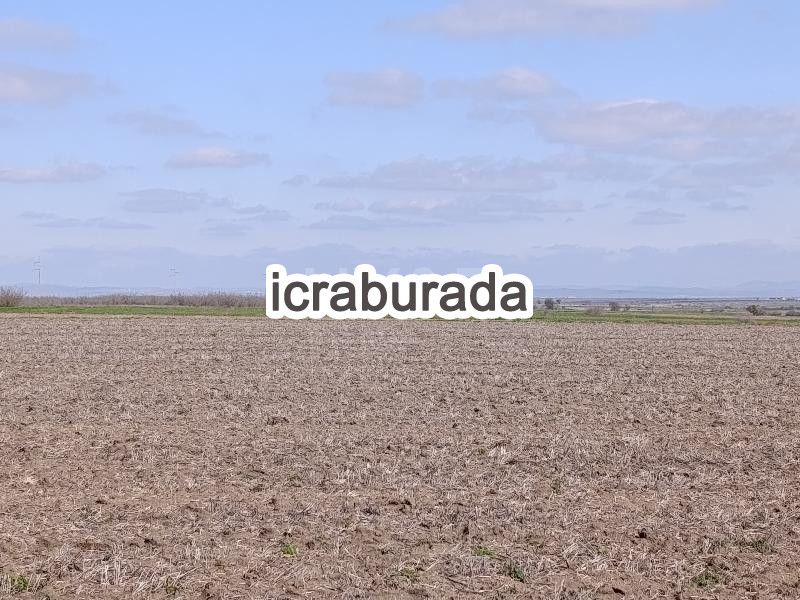 icralık  m2 Tarla Kırklareli Babaeski Karabayir