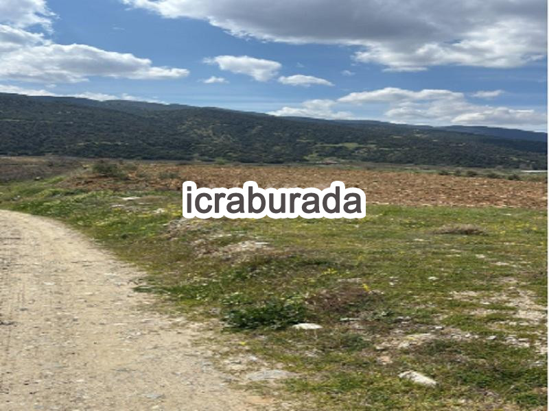 icralık  m2 Bag Manisa Sarıgöl Baharlar