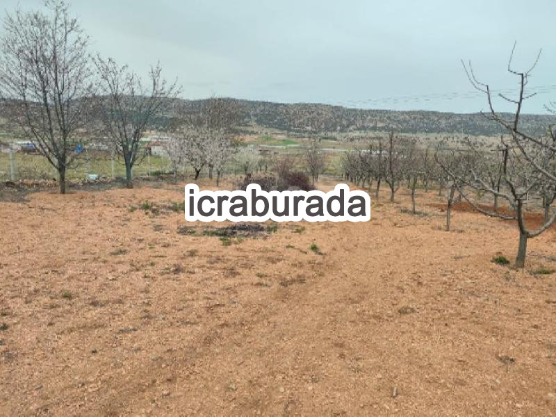 icralık  m2 Tarla Antalya Korkuteli Simandir