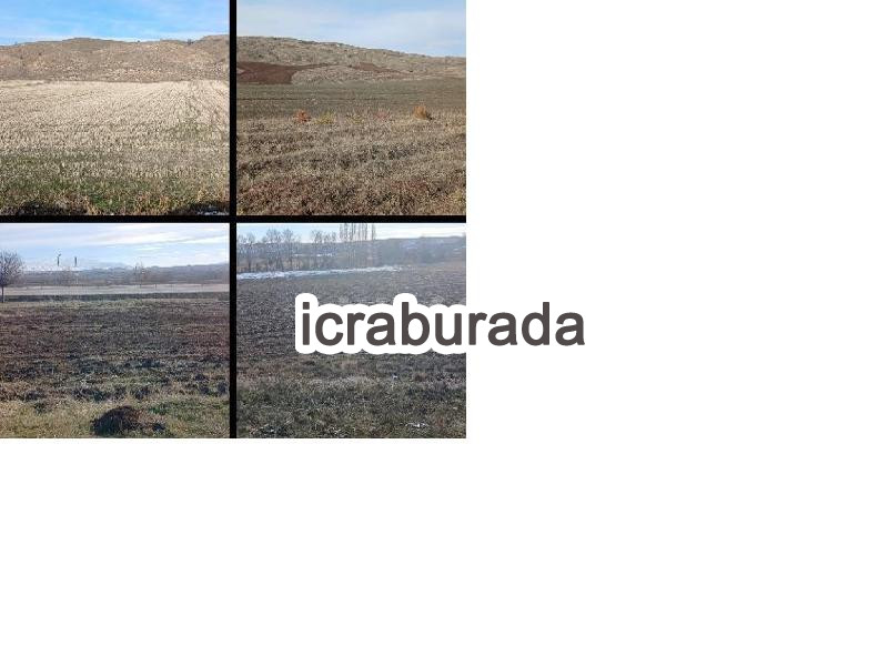 icralık  m2 Tarla Sivas Zara Şeyhmerzuban