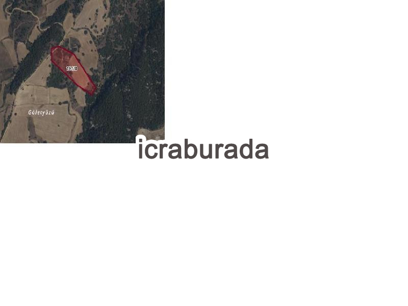 icralık  m2 Tarla Denizli Sarayköy Hisar