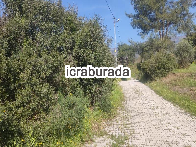 icralık  m2 Diger Hatay Antakya Kavutçu
