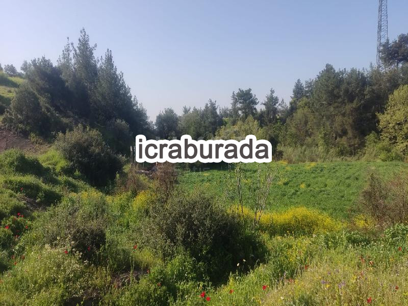 icralık  m2 Diger Hatay Antakya Kavutçu