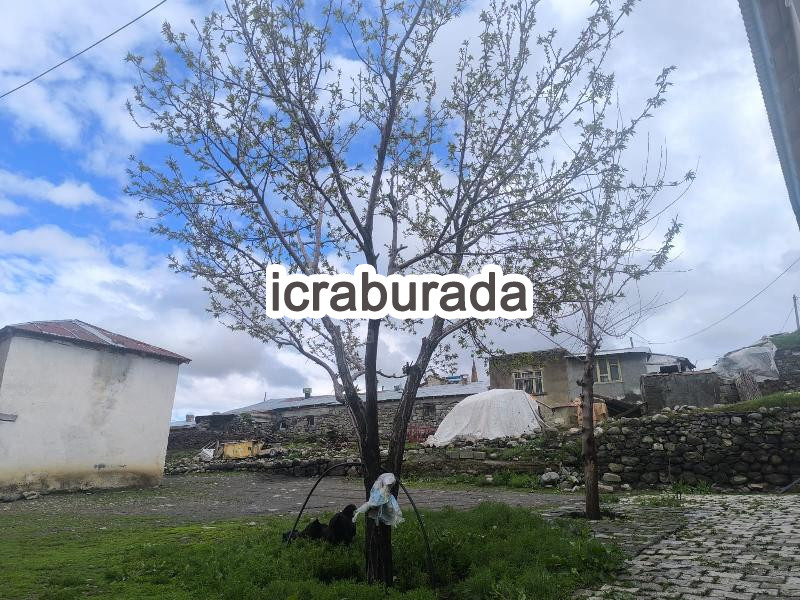 icralık  m2 Arsa Ağrı Tutak Aşaği Kulecik