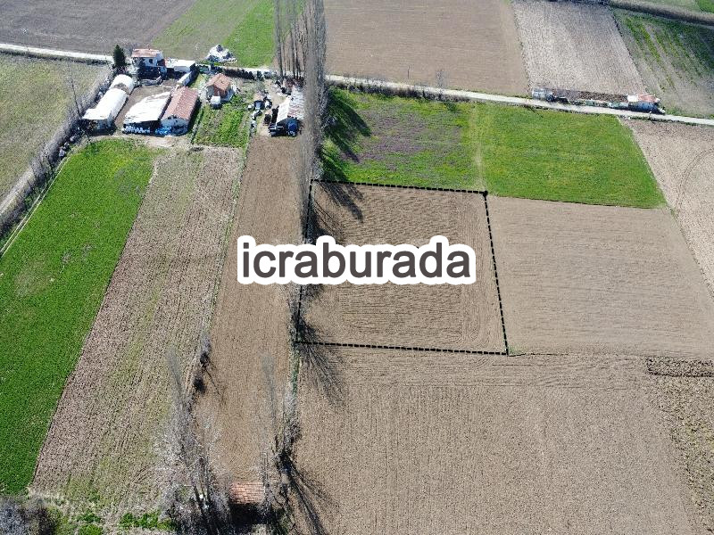 icralık  m2 Tarla Kütahya Tavşanlı Ada