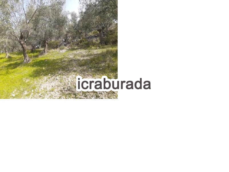 icralık  m2 Diger Balıkesir Edremit Hekimzade