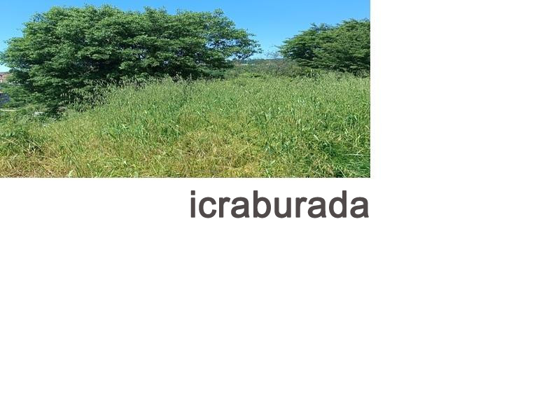 icralık  m2 Arsa Zonguldak Ereğli Kepez