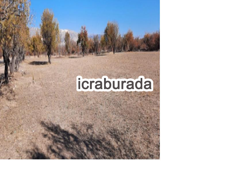 icralık  m2 Bag Isparta Senirkent Yassiören