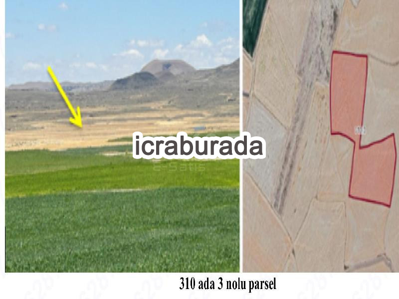 icralık  m2 Tarla Aksaray Merkez Taşpinar/erenler