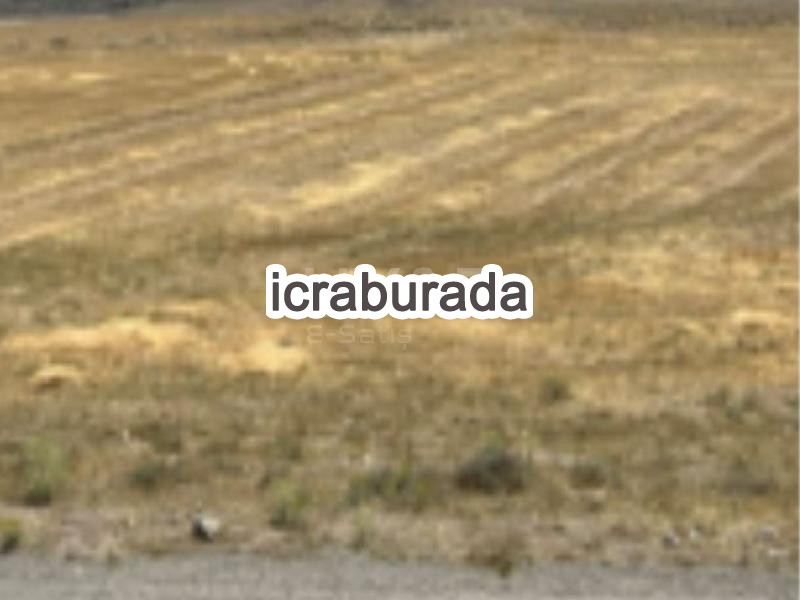 icralık  m2 Tarla Aksaray Merkez Taşpinar/erenler
