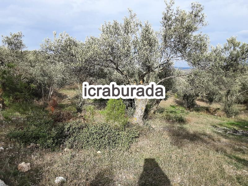 icralık  m2 Tarla Çanakkale Ezine Gökçebayir