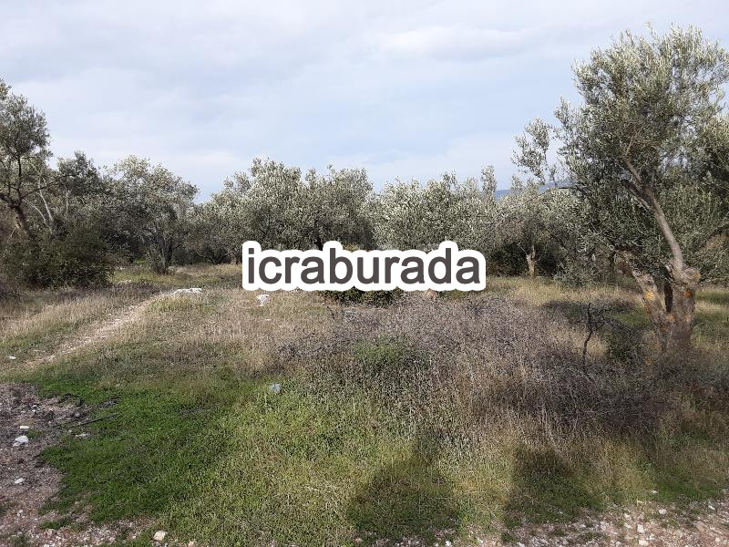icralık  m2 Tarla Çanakkale Ezine Gökçebayir