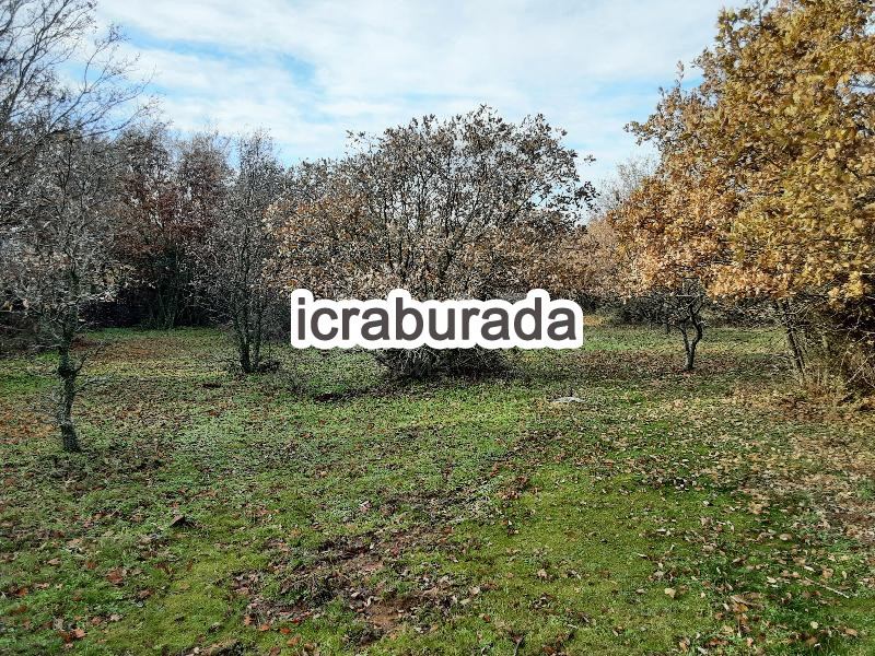 icralık  m2 Tarla Çanakkale Ezine Yaylacik