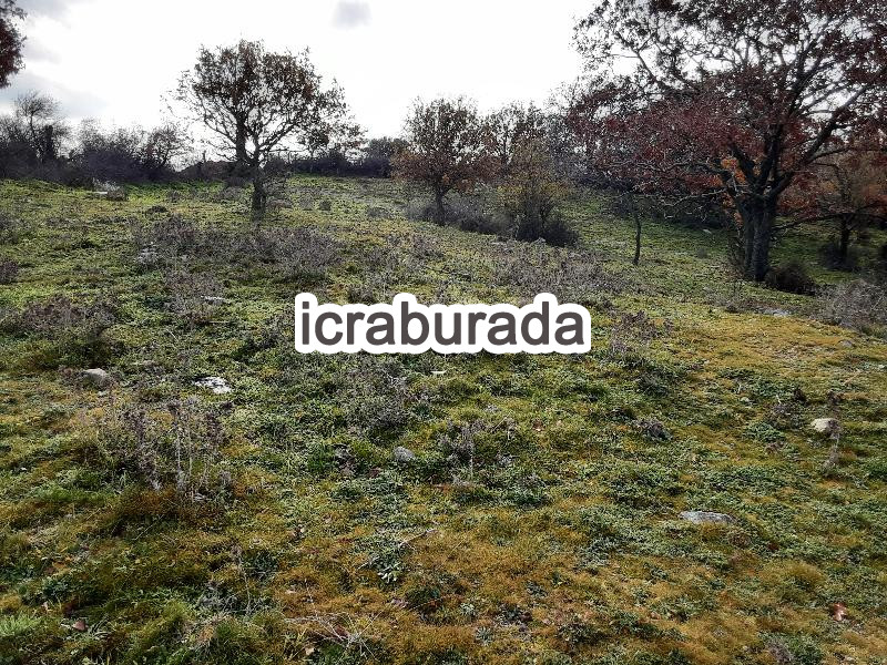 icralık  m2 Tarla Çanakkale Ezine Yaylacik