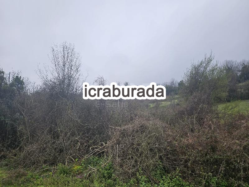 icralık  m2 Arsa Bartın Merkez Büyükkizilkum