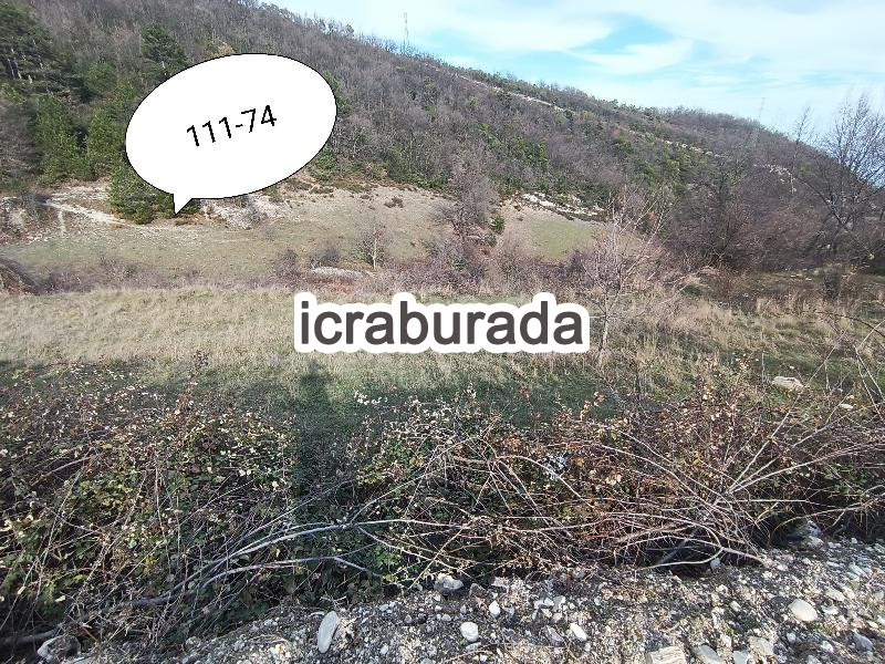 icralık  m2 Tarla Sinop Gerze Yamacik