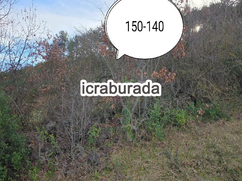icralık  m2 Tarla Sinop Gerze Yamacik