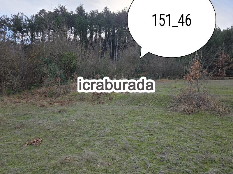 icralık  m2 Tarla Sinop Gerze Yamacik
