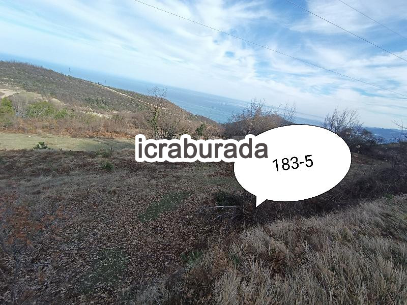icralık  m2 Tarla Sinop Gerze Yamacik