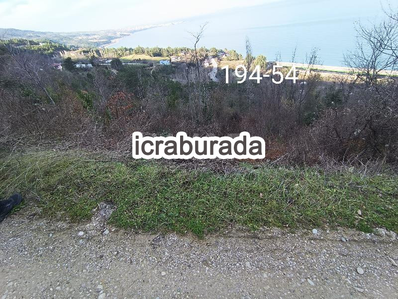 icralık  m2 Tarla Sinop Gerze Yamacik