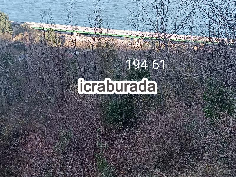 icralık  m2 Tarla Sinop Gerze Yamacik