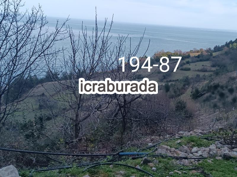 icralık  m2 Tarla Sinop Gerze Yamacik