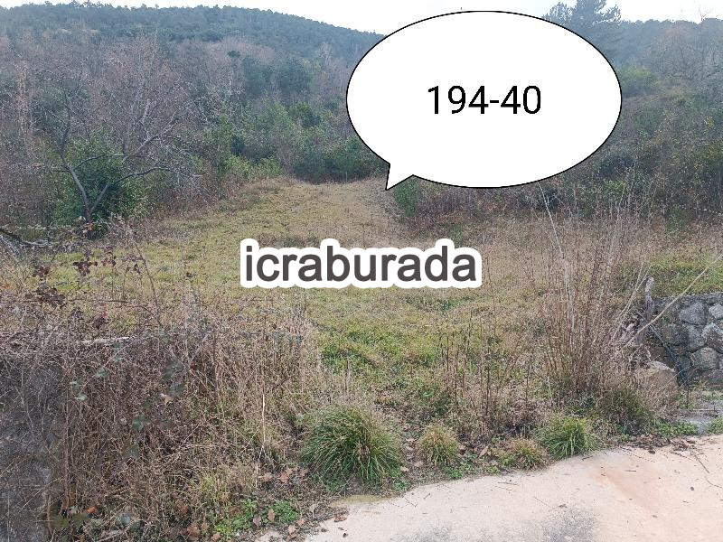 icralık  m2 Tarla Sinop Gerze Yamacik