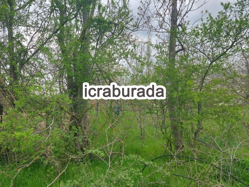 icralık  m2 Diger Burdur Ağlasun Kum