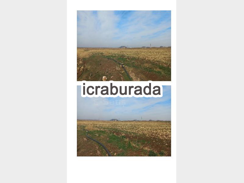 icralık  m2 Tarla Mardin Derik Bozbayir