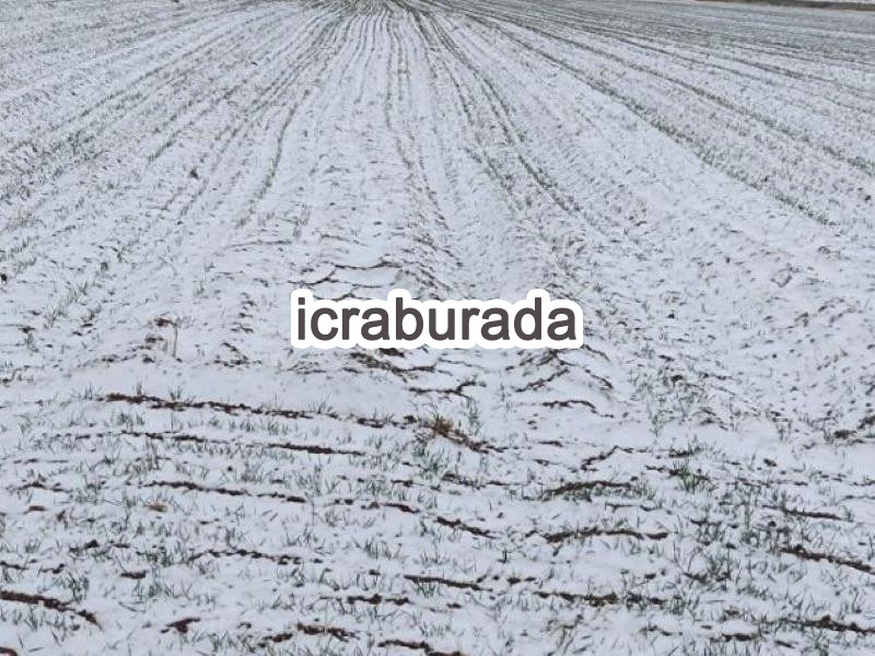 icralık  m2 Tarla Bitlis Ahlat Kirklar