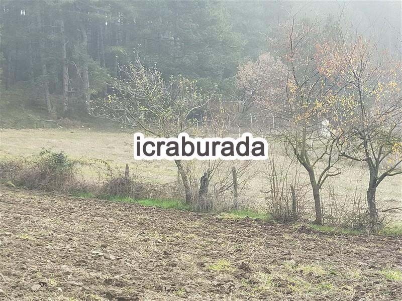 icralık  m2 Tarla Bolu Merkez Çukurören