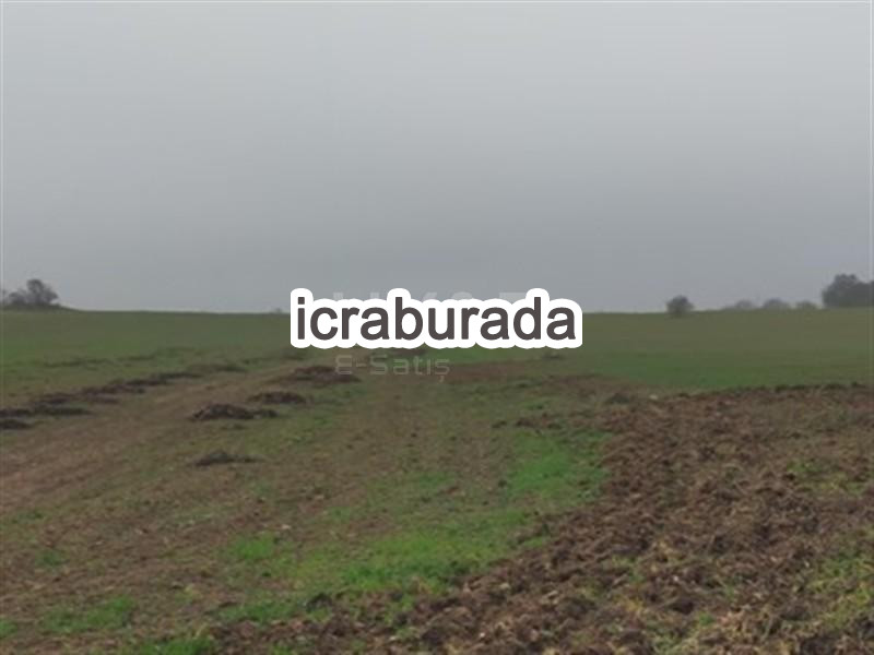 icralık  m2 Tarla Bolu Merkez Bakirli