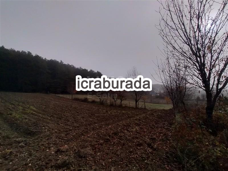 icralık  m2 Tarla Bolu Merkez Bakirli