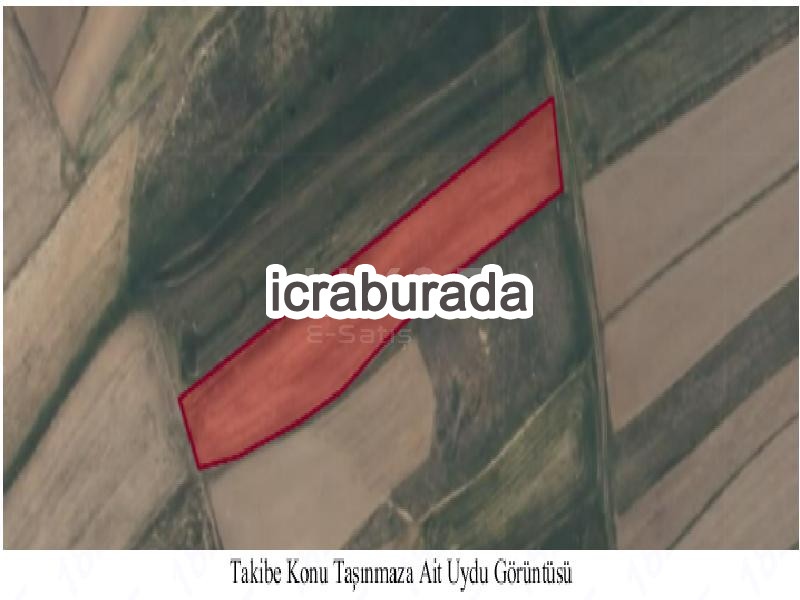 icralık  m2 Tarla Kayseri Pınarbaşı Çukuryurt