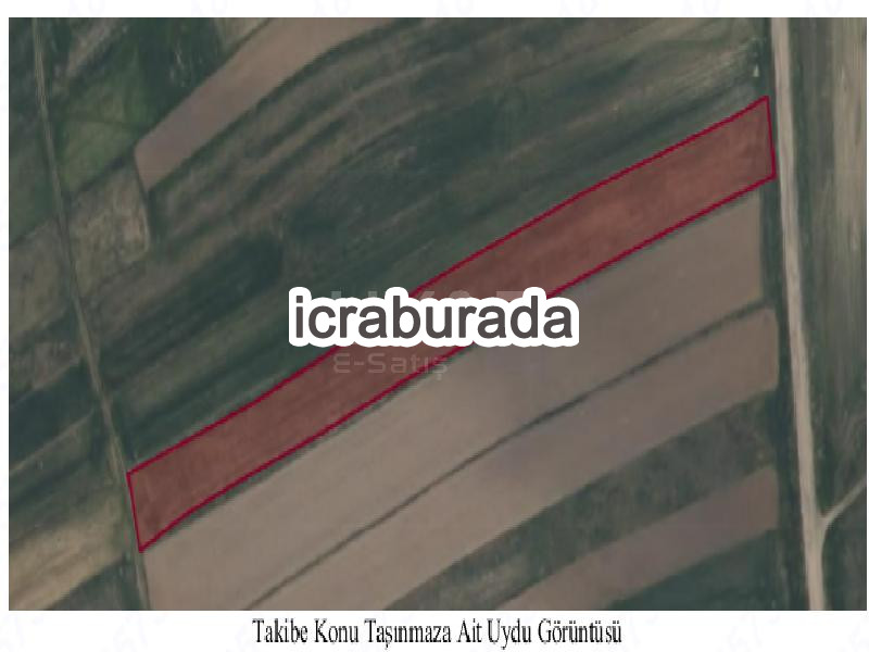 icralık  m2 Tarla Kayseri Pınarbaşı Çukuryurt