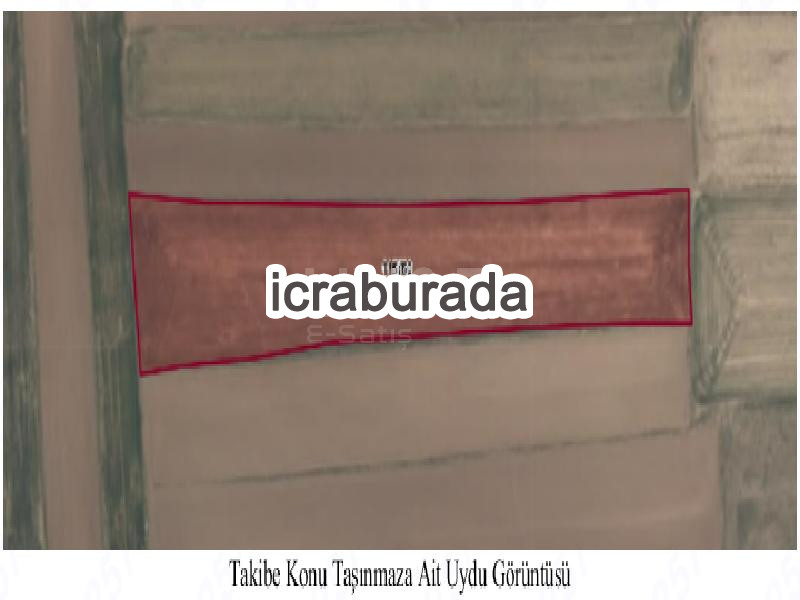 icralık  m2 Tarla Kayseri Pınarbaşı Çukuryurt