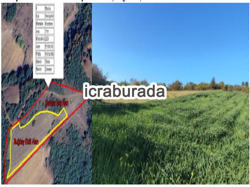 icralık  m2 Tarla Bursa Yenişehir Kozdere
