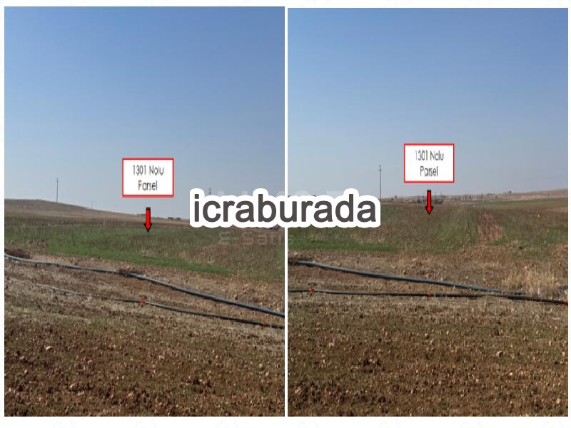 icralık  m2 Tarla Şanlıurfa Eyyübiye Karaali