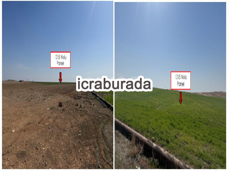 icralık  m2 Tarla Şanlıurfa Eyyübiye Karaali